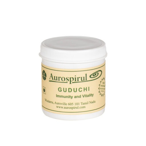 Guduchy2-510x510
