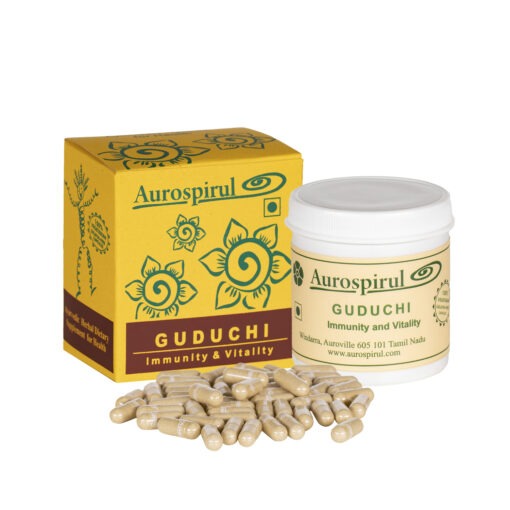Guduchy4-510x510