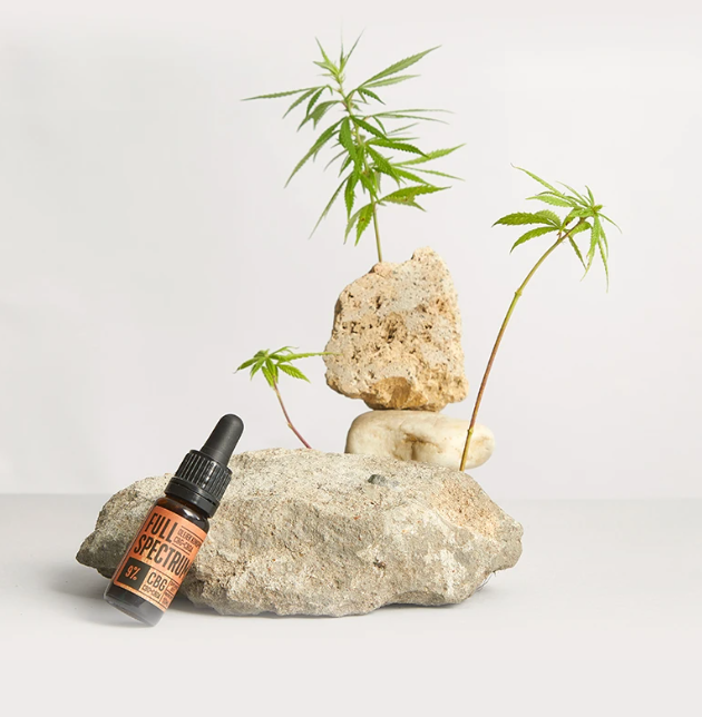 Zrzut ekranu 2022-11-30 190748