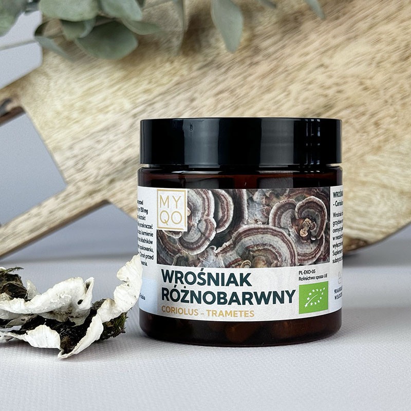 coriolus-wrosniak-roznobarwny