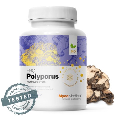 polyporus-detail-s-razitkem-kopie.2191146715