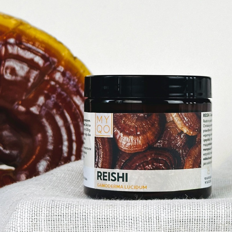 reishi-lakownica-lsniaca-ganoderma-lucidum