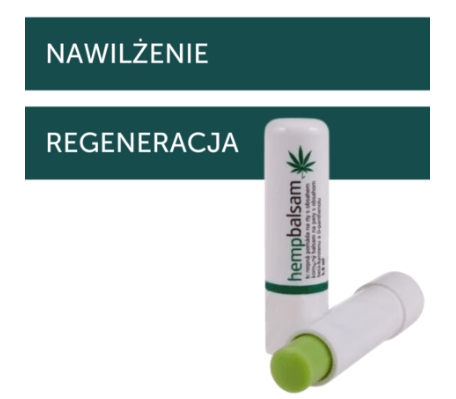 Zrzut ekranu 2025-09-01 132906